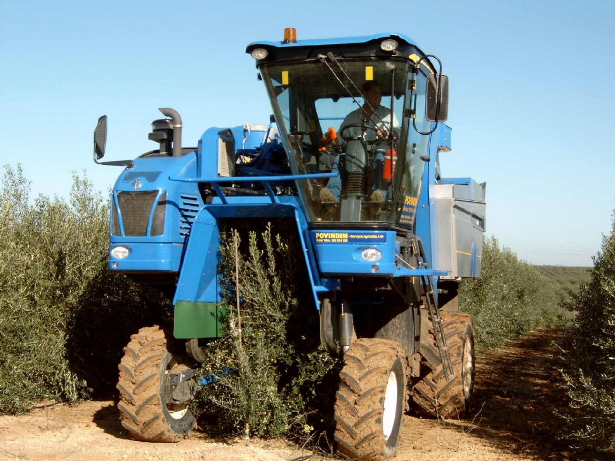 Monte Da Serralheira Agro Turismo เอโวรา ภายนอก รูปภาพ