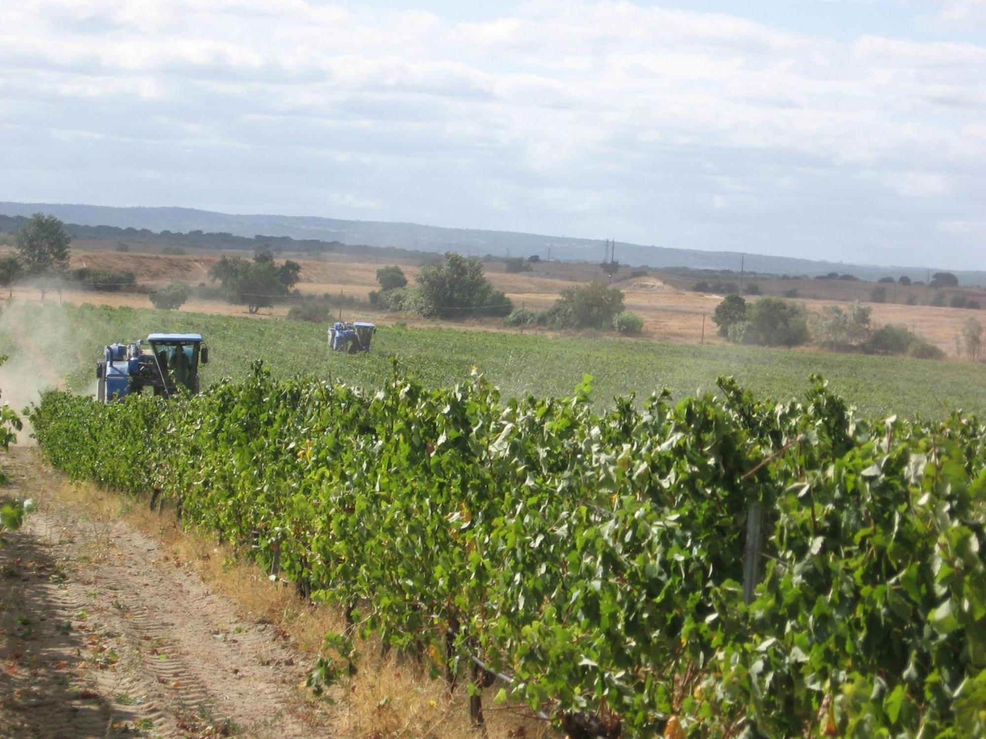 Monte Da Serralheira Agro Turismo เอโวรา ภายนอก รูปภาพ
